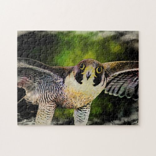 Peregrine Falcon Jigsaw Puzzle