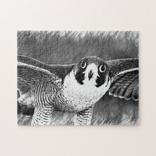 Peregrine Falcon Jigsaw Puzzle