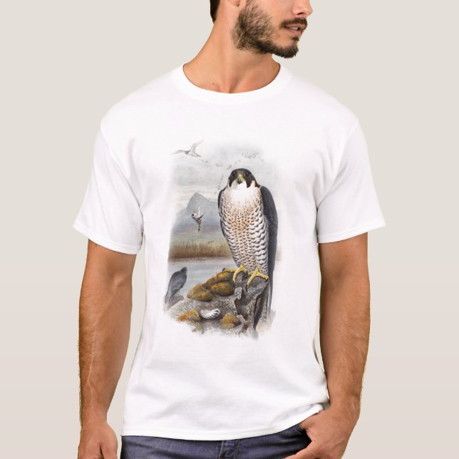 Peregrine Falcon John Gould Birds of Great Britain T-Shirt (Front)
