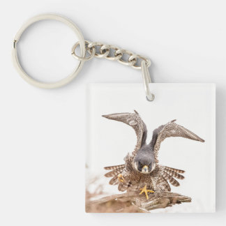 Peregrine Falcon Keychain