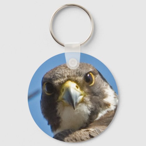 Peregrine Falcon Keychain