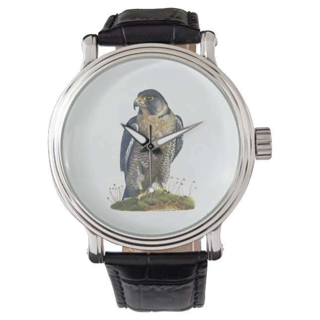 Peregrine Falcon Leather strapped wrist watch (Front)