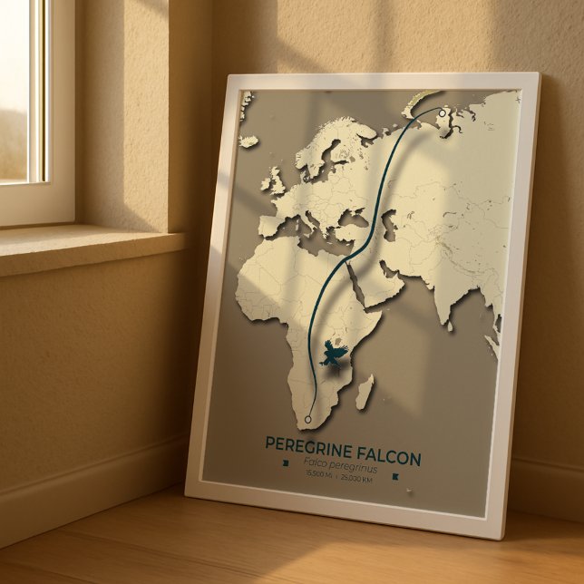Peregrine Falcon Migration Map – Minimalist Poster (Creator Uploaded)