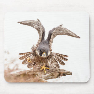 Peregrine Falcon Mouse Pad