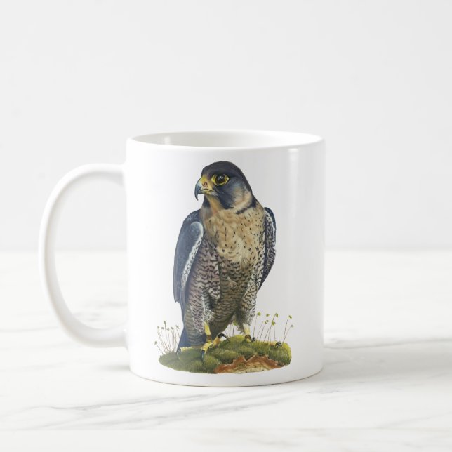 Peregrine falcon mug (Left)