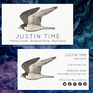 Peregrine Falcon Naturalist Guide Birdwatching Business Card