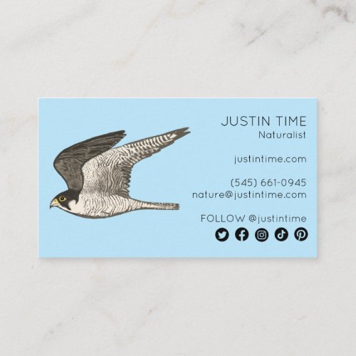 Peregrine Falcon Naturalist Guide Birdwatching  Business Card