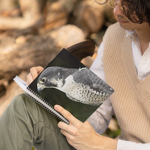 Peregrine Falcon Nature Photo Notebook