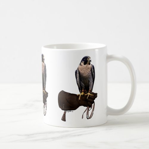 Peregrine Falcon on Glove Coffee Mug