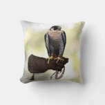 Peregrine Falcon On Glove Throw Pillow at Zazzle