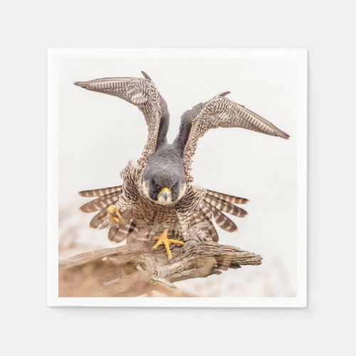 Peregrine Falcon Paper Napkins