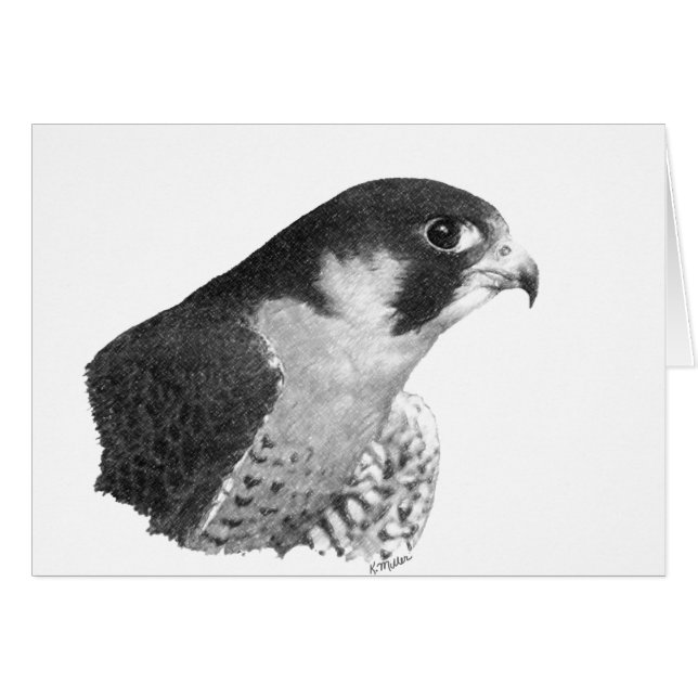 Peregrine Falcon-Pencil Cards (Front Horizontal)
