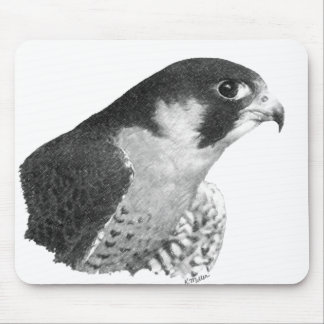 Peregrine Falcon-Pencil Mouse Pad