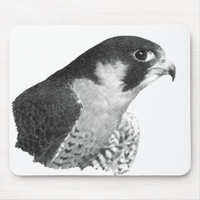 Peregrine Falcon-Pencil Mouse Pad (Front)