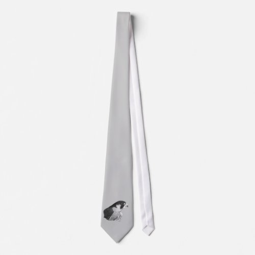 Peregrine Falcon_Pencil Neck Tie