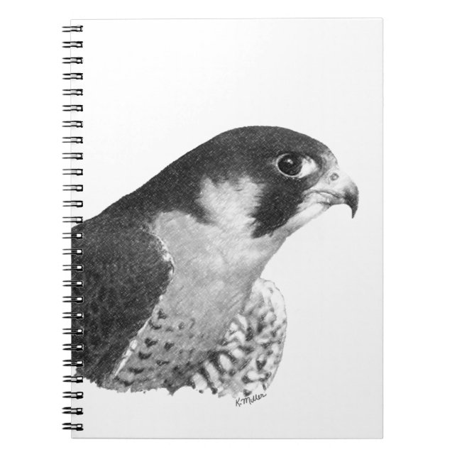 Peregrine Falcon-Pencil Notebook (Front)