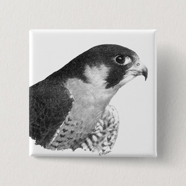 Peregrine Falcon-Pencil Pinback Button (Front)