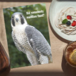 Peregrine Falcon Photo Funny Nature Birthday Card<br><div class="desc">Humorous birthday card for all featuring the photo image of a Peregrine Falcon looking for food. Better watch that cake! Select from matte or glossy style card.</div>