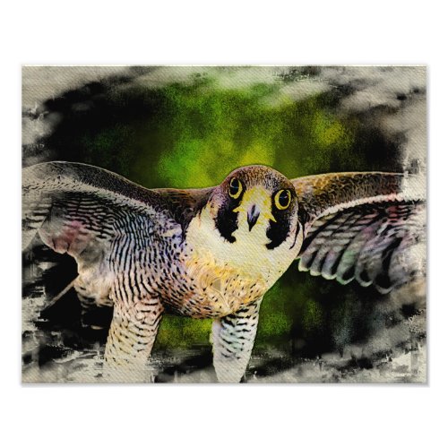 Peregrine Falcon Photo Print