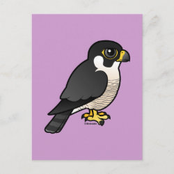 Minimalist Peregrine Falcon Tshirt