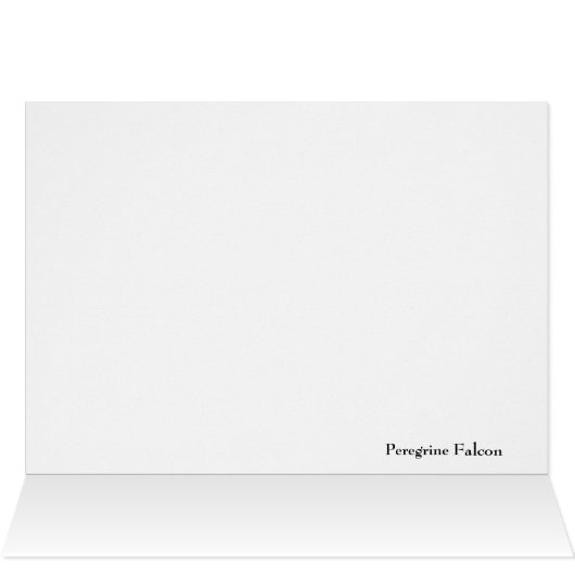 Peregrine Falcon Profile (Inside Horizontal (Top))