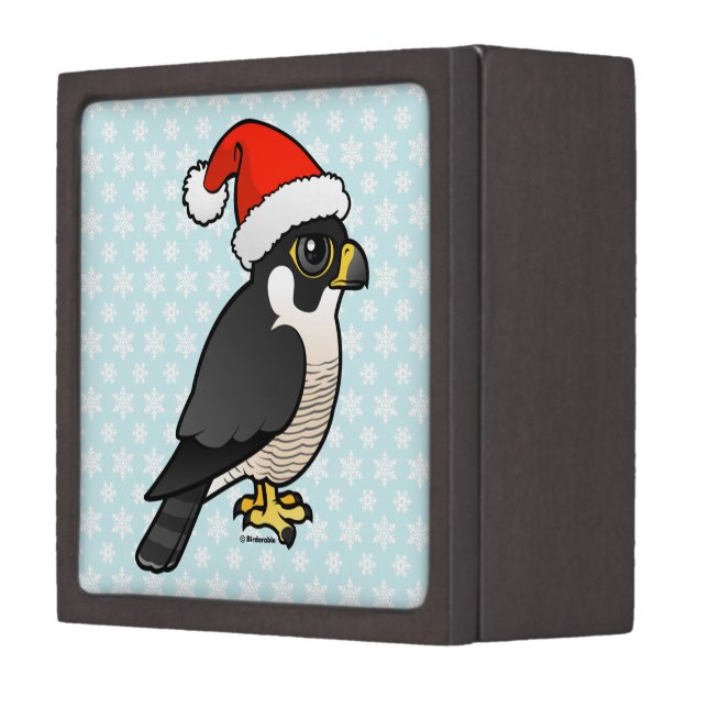 Peregrine Falcon Santa Keepsake Box (Front Left)