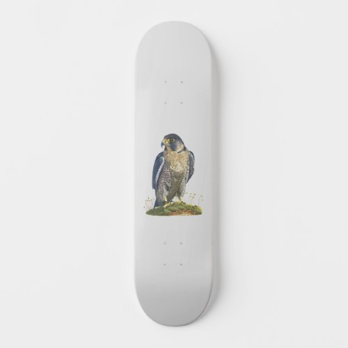 Peregrine Falcon Skateboard