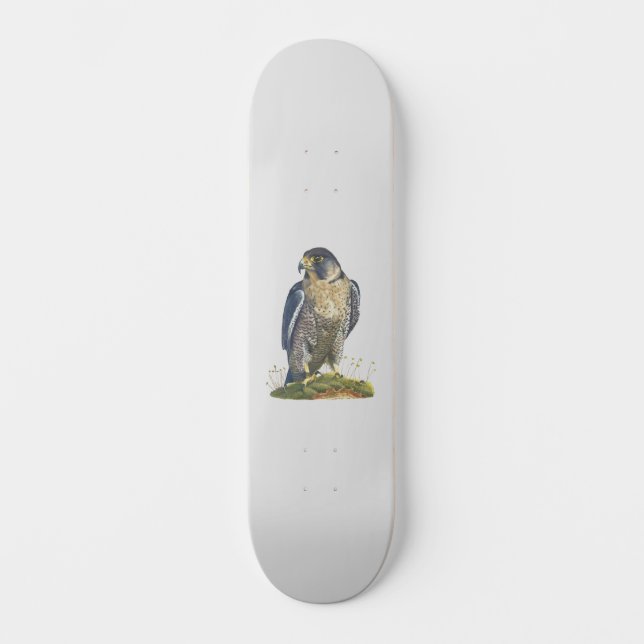 Peregrine Falcon Skateboard (Front)