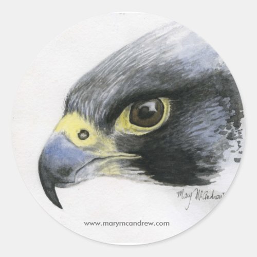 Peregrine Falcon stickers