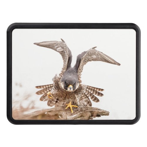 Peregrine Falcon Tow Hitch Cover