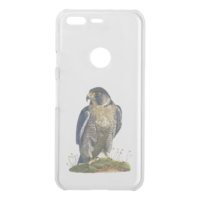 Peregrine Falcon Uncommon Google Pixel Case (Back)