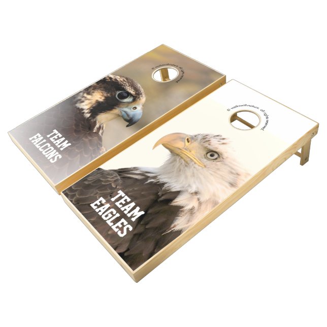 Peregrine Falcon vs Bald Eagle Raptors Cornhole Set (Angled)