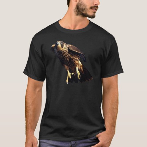PEREGRINE FALCON Wildlife Raptor Shirt Collection