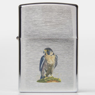 Peregrine falcon zippo lighter