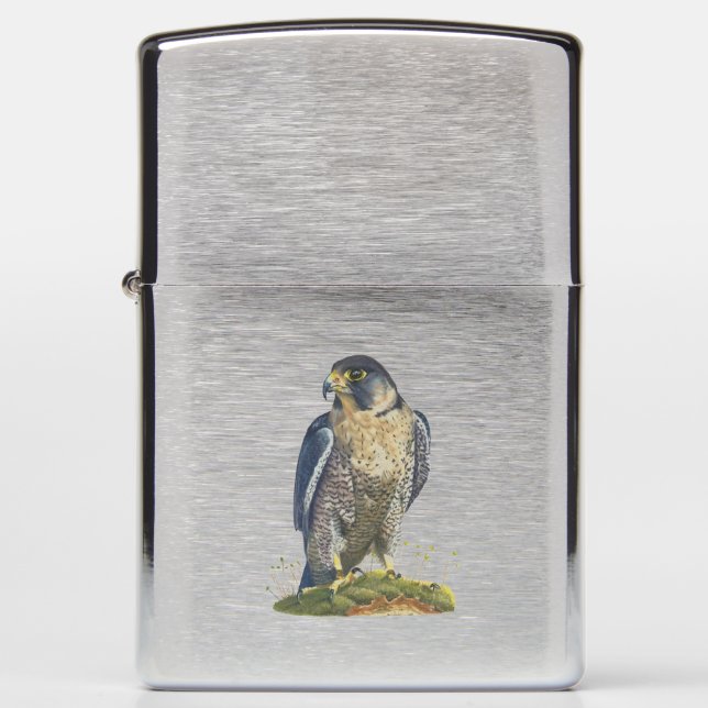 Peregrine falcon zippo lighter (Front)