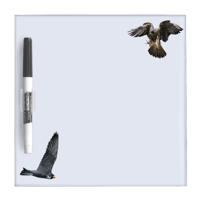 Peregrine Falcons in flight Small dry-erase board (Front)