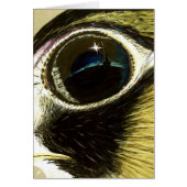 Peregrine's Eye blank (Front)