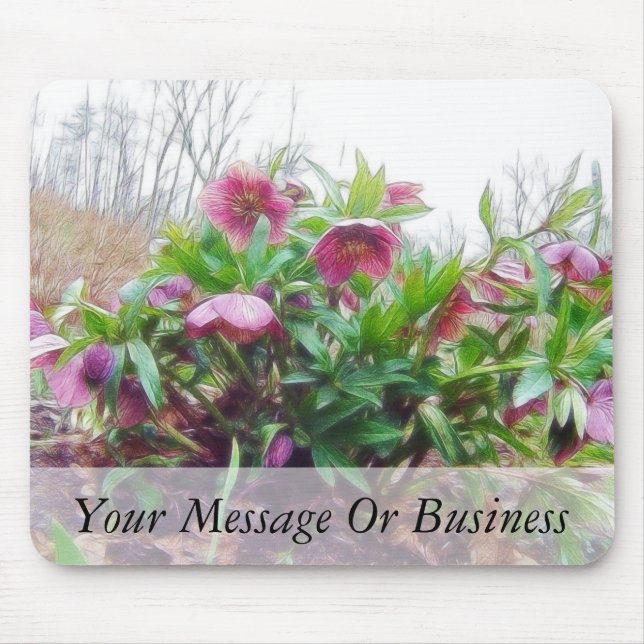 Perennial Hellebore Plants In The Garden Mouse Pad (Front)