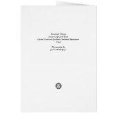 Perennial  Plunge (Back)