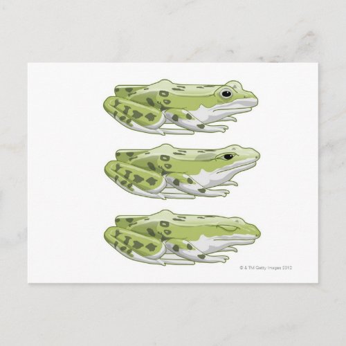 Perez Frog Postcard