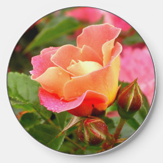 Perfect Apricot Pink Rose Wireless Charger