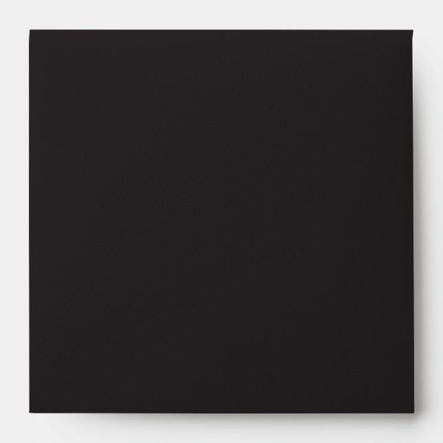 Perfect Chevron/Zig Zag Photography CD Envelope (Front)