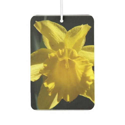 Perfect Daffodil Car Air Freshener