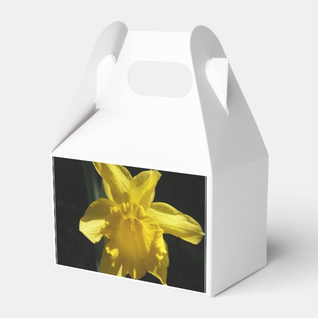 Perfect Daffodil Favor Boxes (Front Side)