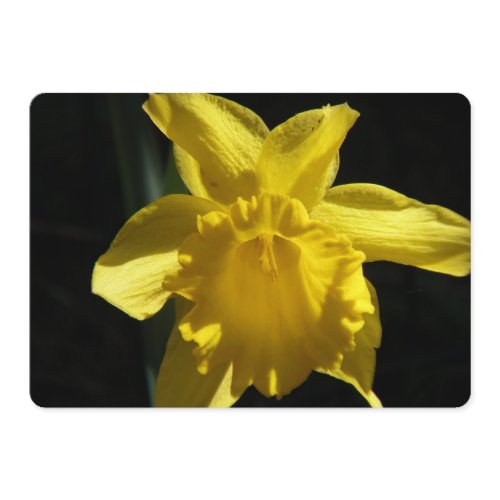 Perfect Daffodil Invitation
