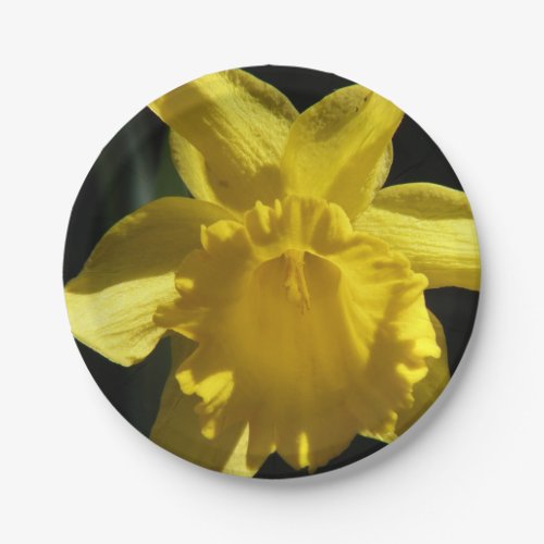 Perfect Daffodil Paper Plates