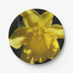 Perfect Daffodil Paper Plates
