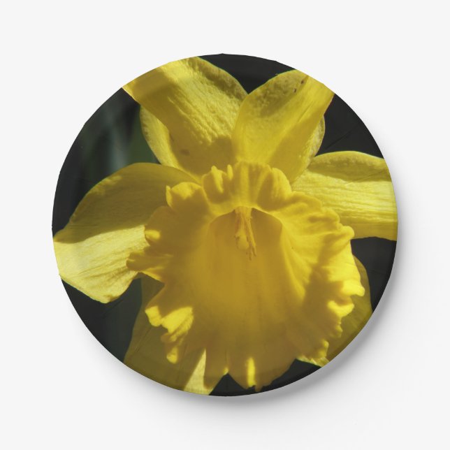 Perfect Daffodil Paper Plates (Front)