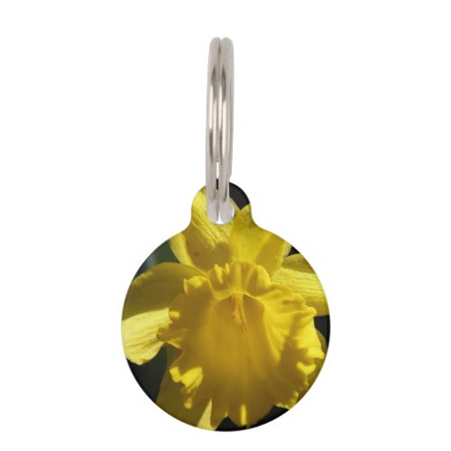 Perfect Daffodil Pet Tag