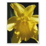 Perfect Daffodil Temporary Tattoos